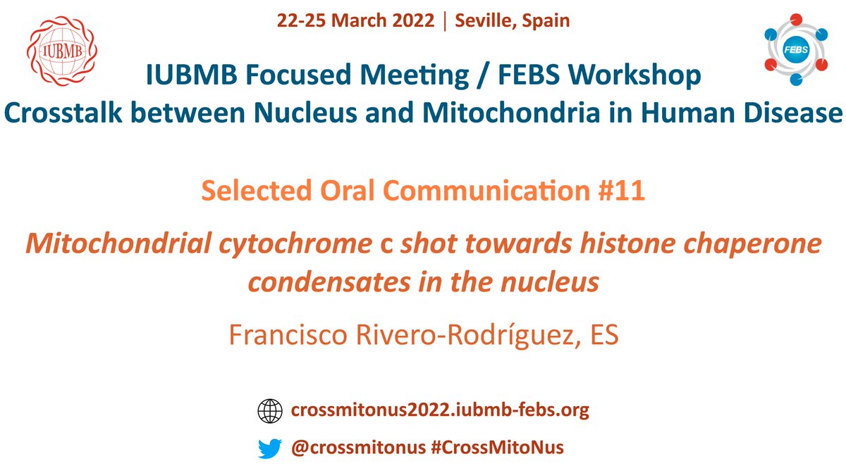 crossmitonus's tweet photo. Selected Oral Communication #11:

👨Francisco Rivero-Rodríguez

Instituto de Investigaciones Químicas (IIQ) – Universidad de Sevilla,
Sevila, Spain

🗓️FRIDAY March 25
🕡13:00h

#CrossMitoNus https://t.co/pSlNtddo1G