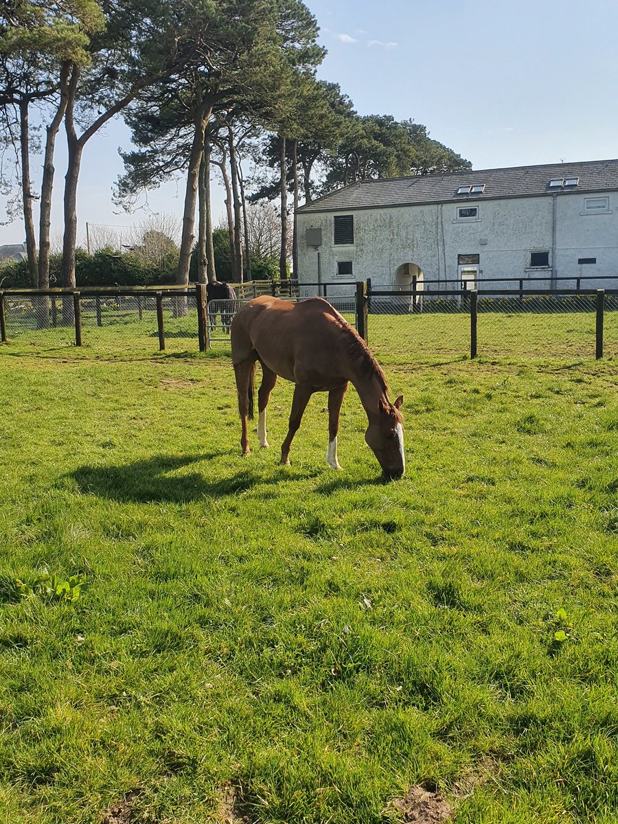 🌞🌞🌞Ronald enjoying the sun
