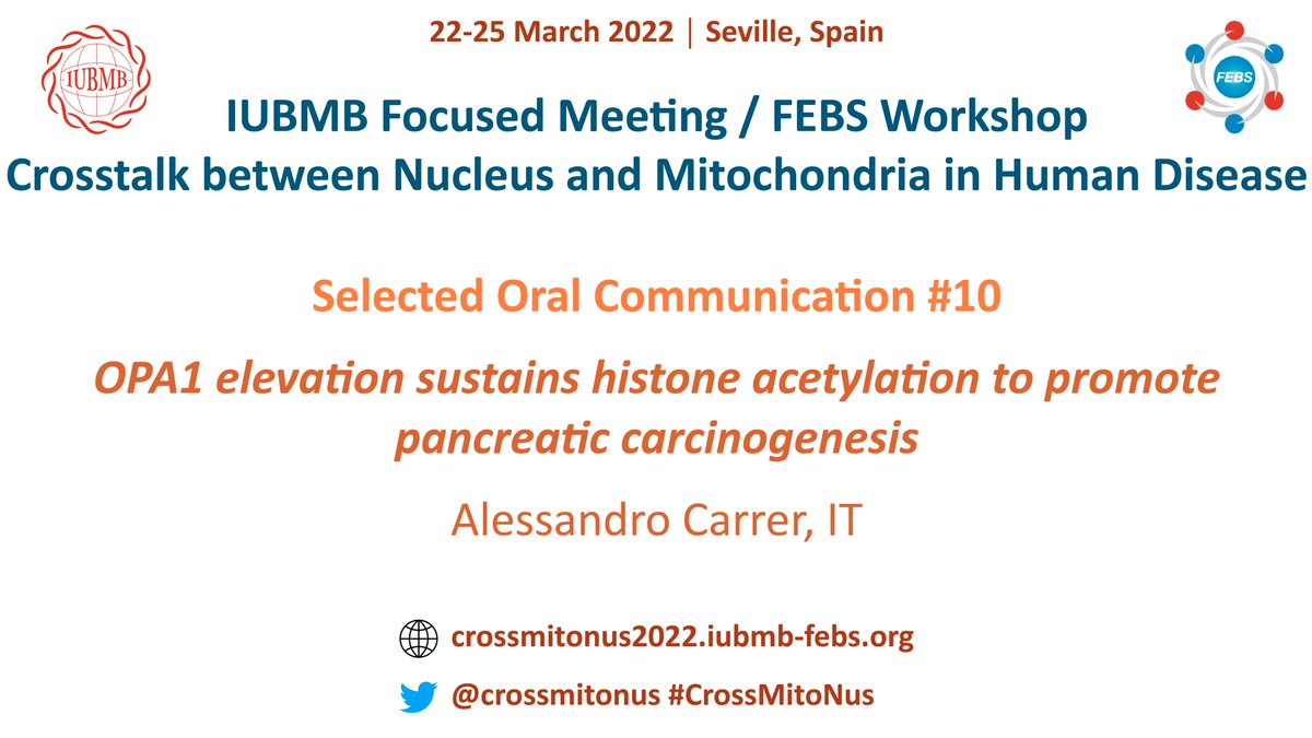 crossmitonus's tweet photo. Selected Oral Communication #10:

👨Alessandro Carrer

Veneto Institute of Molecular Medicine,
Padova, Spain

🗓️FRIDAY March 25
🕡12:40h

#CrossMitoNus https://t.co/SJzSypF3KO