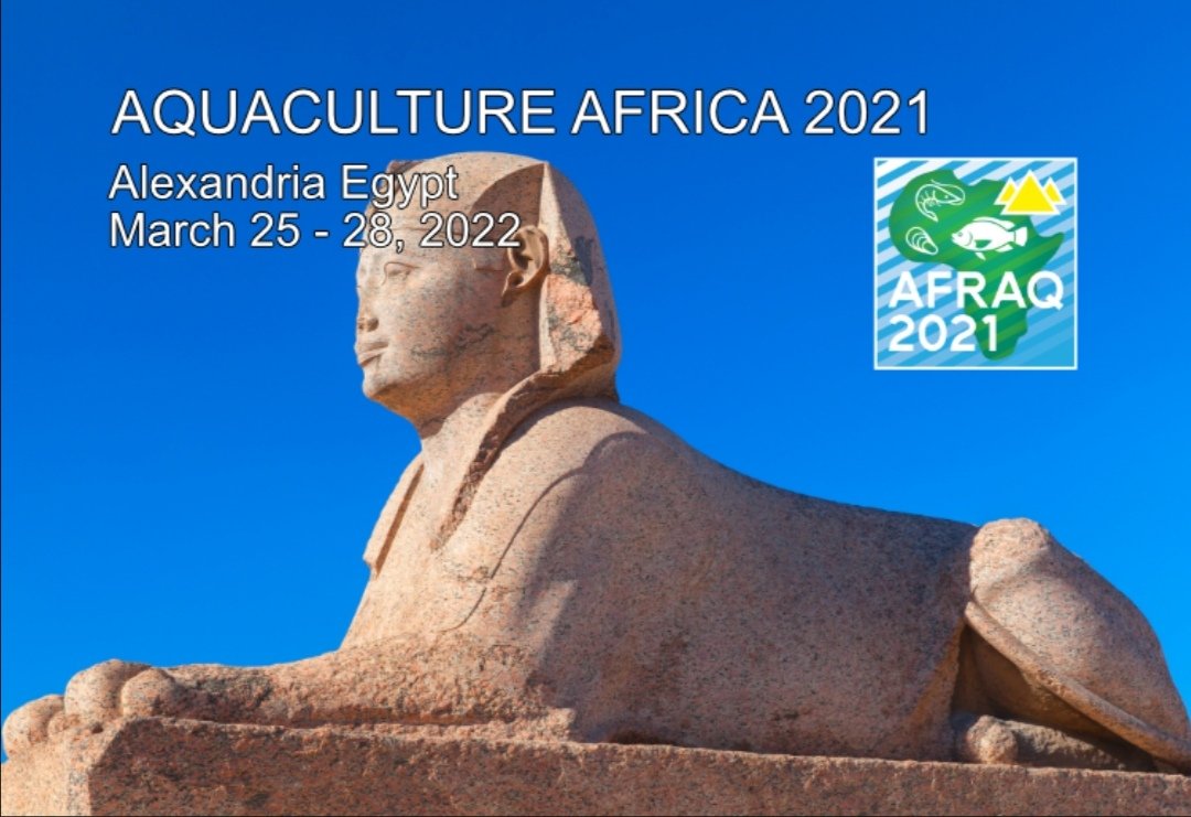 Mustapha ABA (@mustaphaaba2) on Twitter photo 