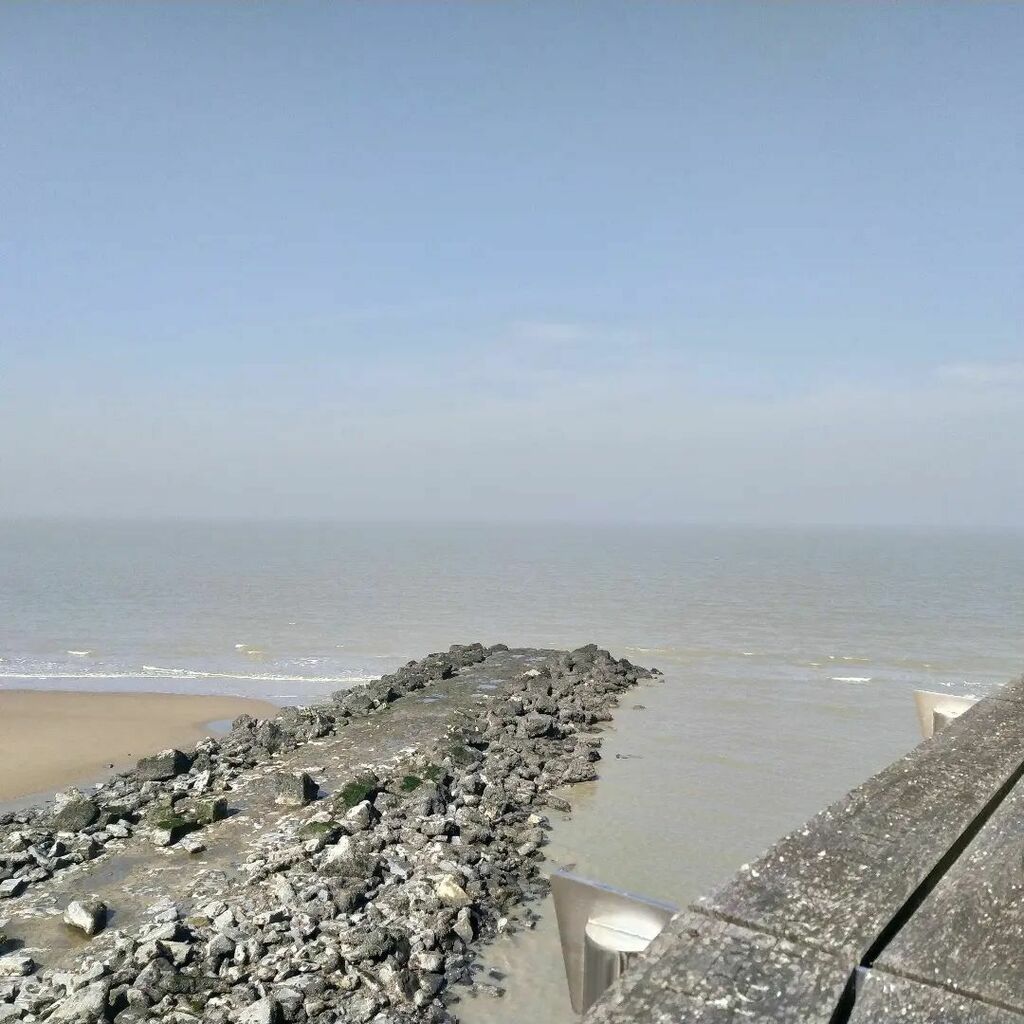 Morgane Leeloo Perséphone Lafay tweet media