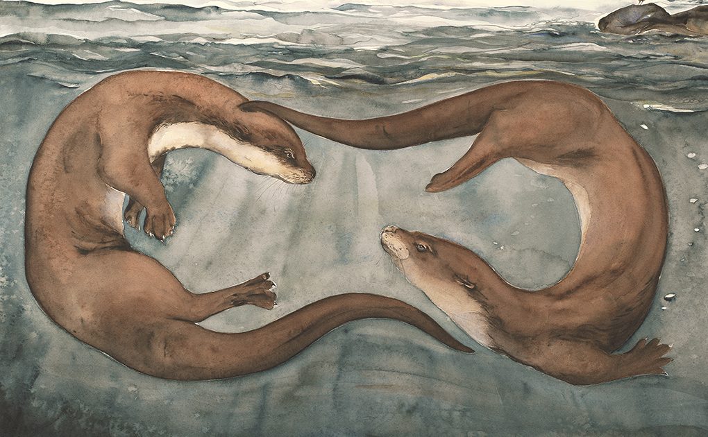 Tomorrow, we will be opening our doors to #TheLostWords! Will you be joining us for this enchanting exhibition that celebrates the relationship between language and the living world?

<a href="/ComptonVerney/">Compton Verney</a> @JackieMorrisArt <a href="/RobGMacfarlane/">Robert Macfarlane</a>

#Bournemouth #Art #Nature