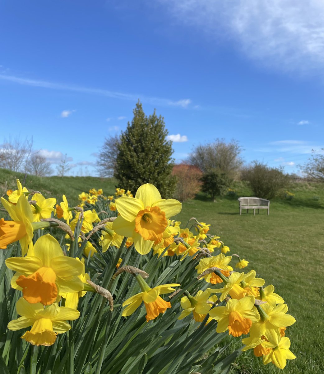 windmilllodges's tweet photo. Spring has definitely arrived in #suffolk this week and it’s been great to see our guests enjoying the sunshine!😀 https://t.co/gQxcRT9vFX