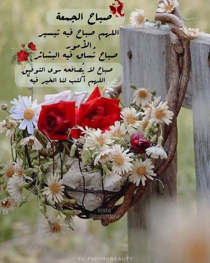 nidalaboahmad's tweet photo. https://t.co/itcavdKz4F