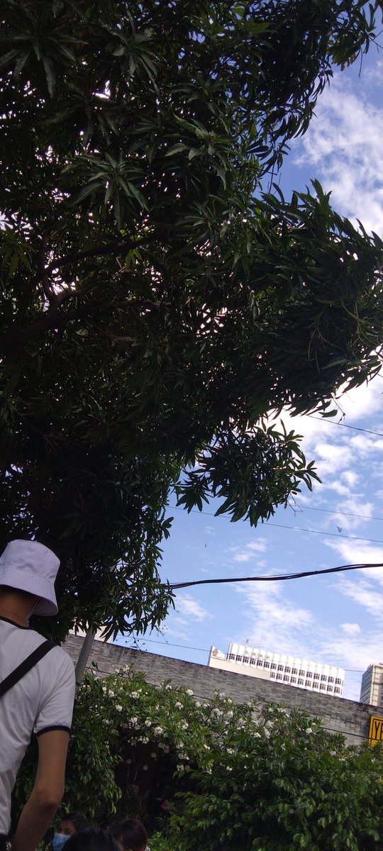 juana1803's tweet photo. https://t.co/MjUQaYPMN0