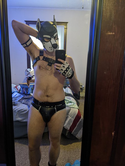 New jock 😘. #PupPlay https://t.co/5gsL9cfial<a href="/tag/pupplay"class="tags">#PupPlay</a>