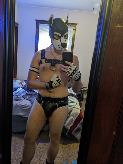 New jock 😘. #PupPlay https://t.co/5gsL9cfial<a href="/tag/pupplay"class="tags">#PupPlay</a>