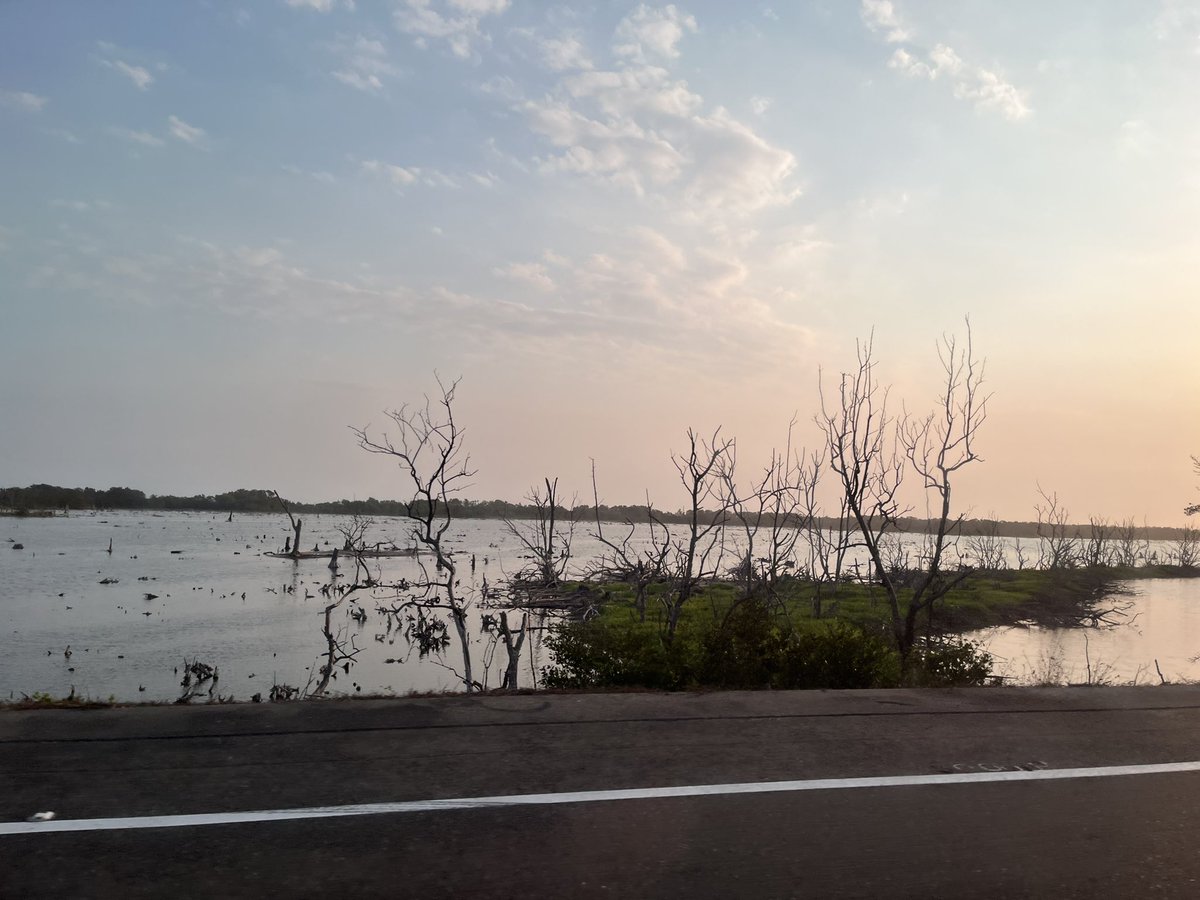 YolimaRuiz's tweet photo. Realidades y contrastes en la vía Barranquilla-ciénaga #MIRNENCGSM @CM_Botero @investigarCUC https://t.co/ULJN8OQch0