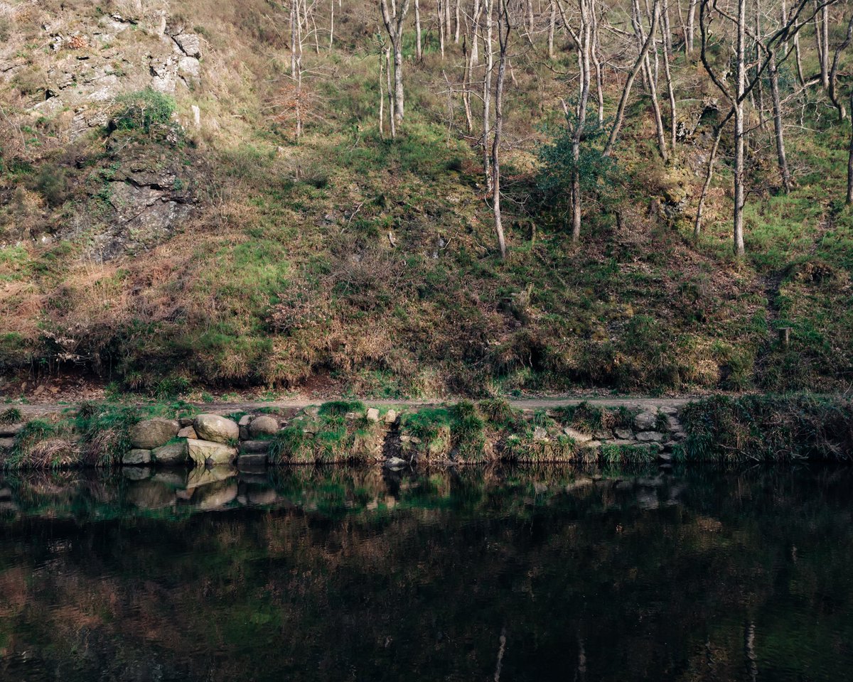 MollyRowlands_P's tweet photo. Fingle Bridge last Sunday, such beautiful light ✨ https://t.co/QKmZJMYpwS