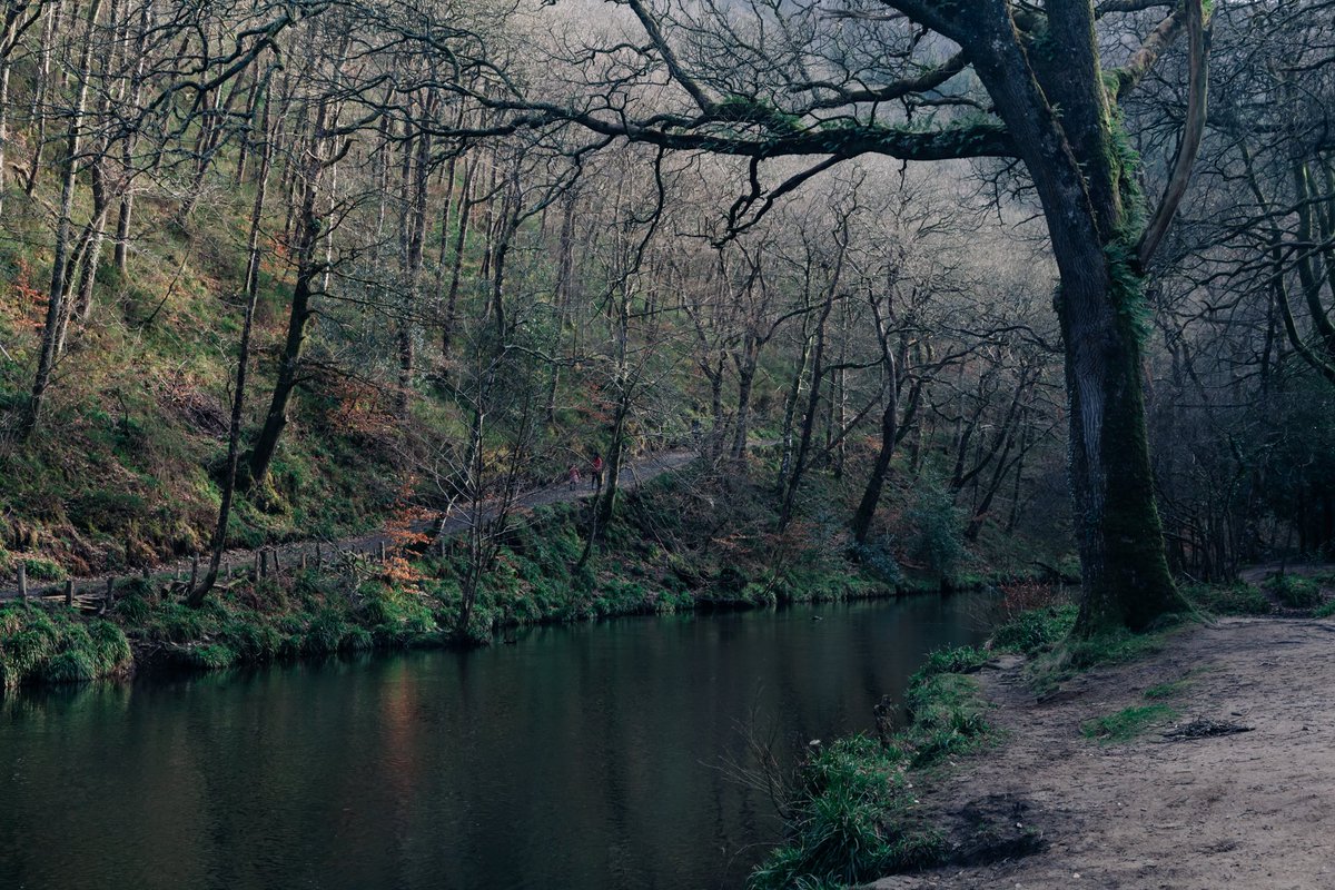 MollyRowlands_P's tweet photo. Fingle Bridge last Sunday, such beautiful light ✨ https://t.co/QKmZJMYpwS