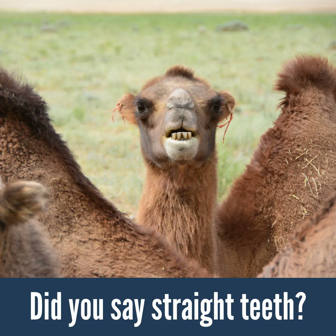 Yes we did! And we also said in as little as 6 months! visit buff.ly/3orcU9i to find a provider near you.
#financingforall #braces #aligners #smilegoals