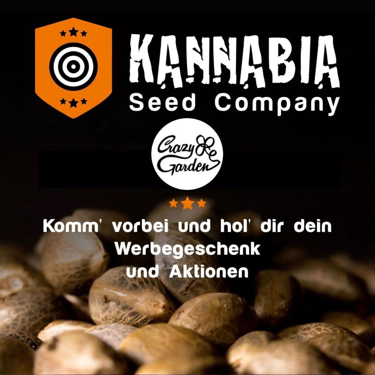 KannabiaGlobal's tweet photo. 🔊 Today, Friday, March 25th, from 2:30 p.m. our colleague Melania from #KannabiaSeeds🌱 @Kannabia_Samen will be at Crazy Garden #Gartencenter 🍀🌻🌺 Get your #giveaway ‼️🎁🧡💚
📍 Grazbachgasse 14, Graz, Austria, 8010 🇦🇹
#CrazyGarden Web: https://t.co/FhRGV8vwR2
#gardening 🏡 https://t.co/imBpRaebbt