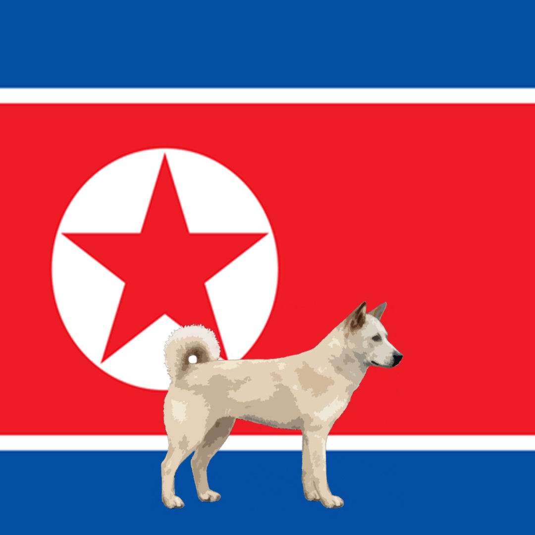 cryptodognation tweet media