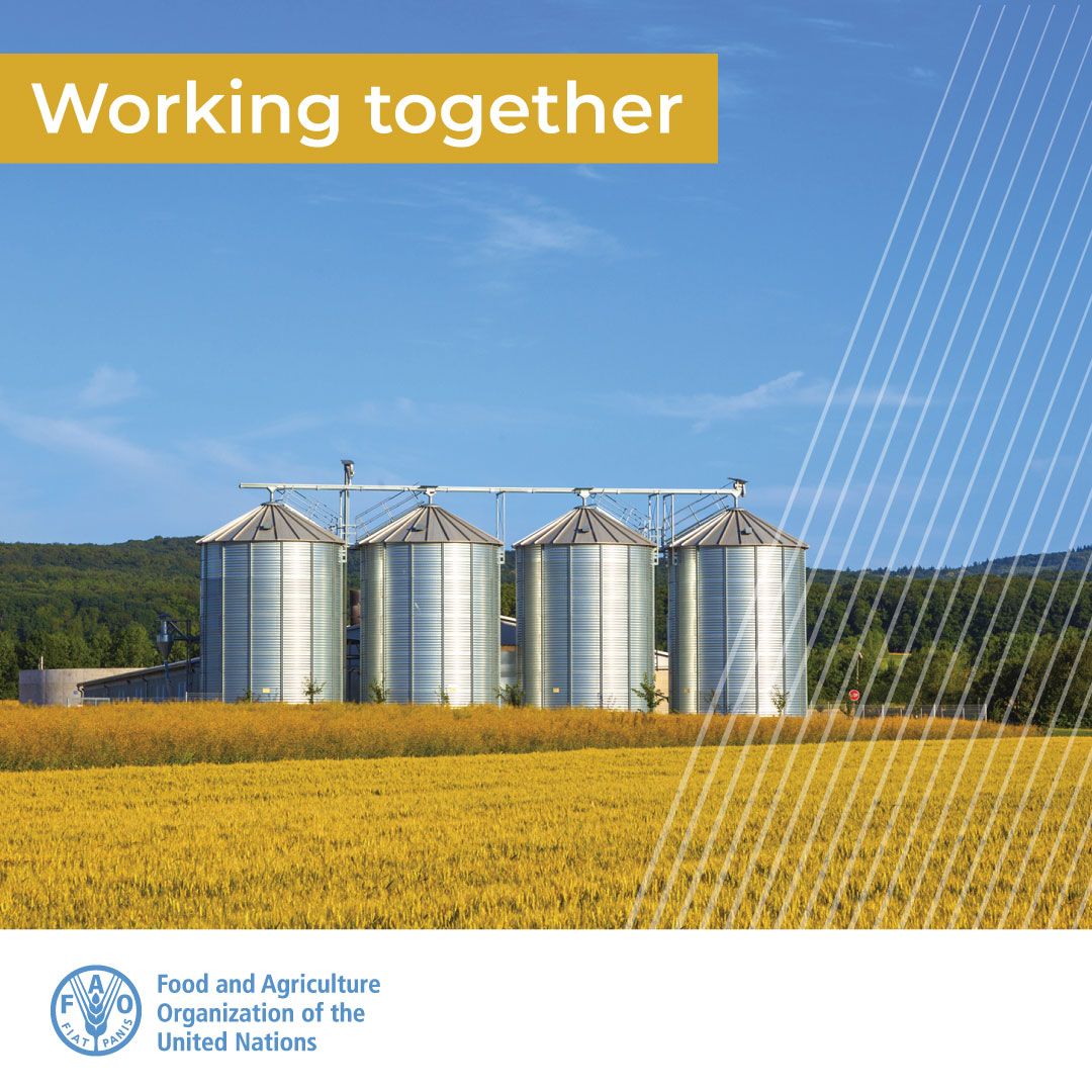 At the 15th #InternationalFeedRegulatorsMeeting #IFRM <a href="/FAO/">Food and Agriculture Organization</a> and <a href="/IFIFfeed/">IFIF</a> are working together to increase collaboration between public and private partners for achieving #animalfeed and #food safety

Read more about our work on feed safety 👉 bit.ly/3tAljNS