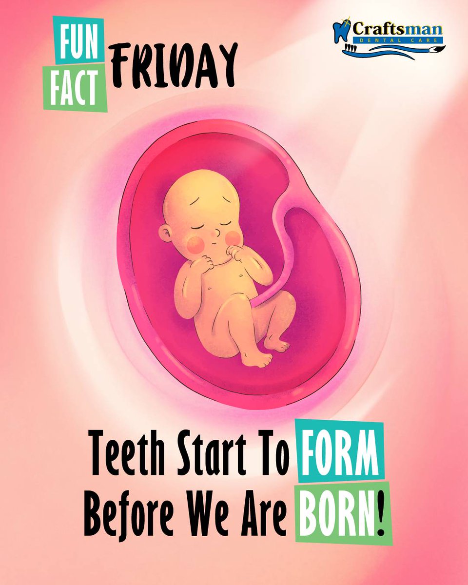 global__smiles's tweet photo. #FunFactFriday ๐ค
Teeth Start To Form Before We Are Born ๐ถ
The first tooth buds, or #babyteeth ๐ถ๐ฆท, develop at 6 weeks of pregnancy. Our permanent or #adultteeth ๐ฑโโ๏ธ๐ฆท form at 4 months of #pregnancy. ๐คฐ
Naturally, these teeth are already formed in utero. https://t.co/2ycU6NLoYQ
