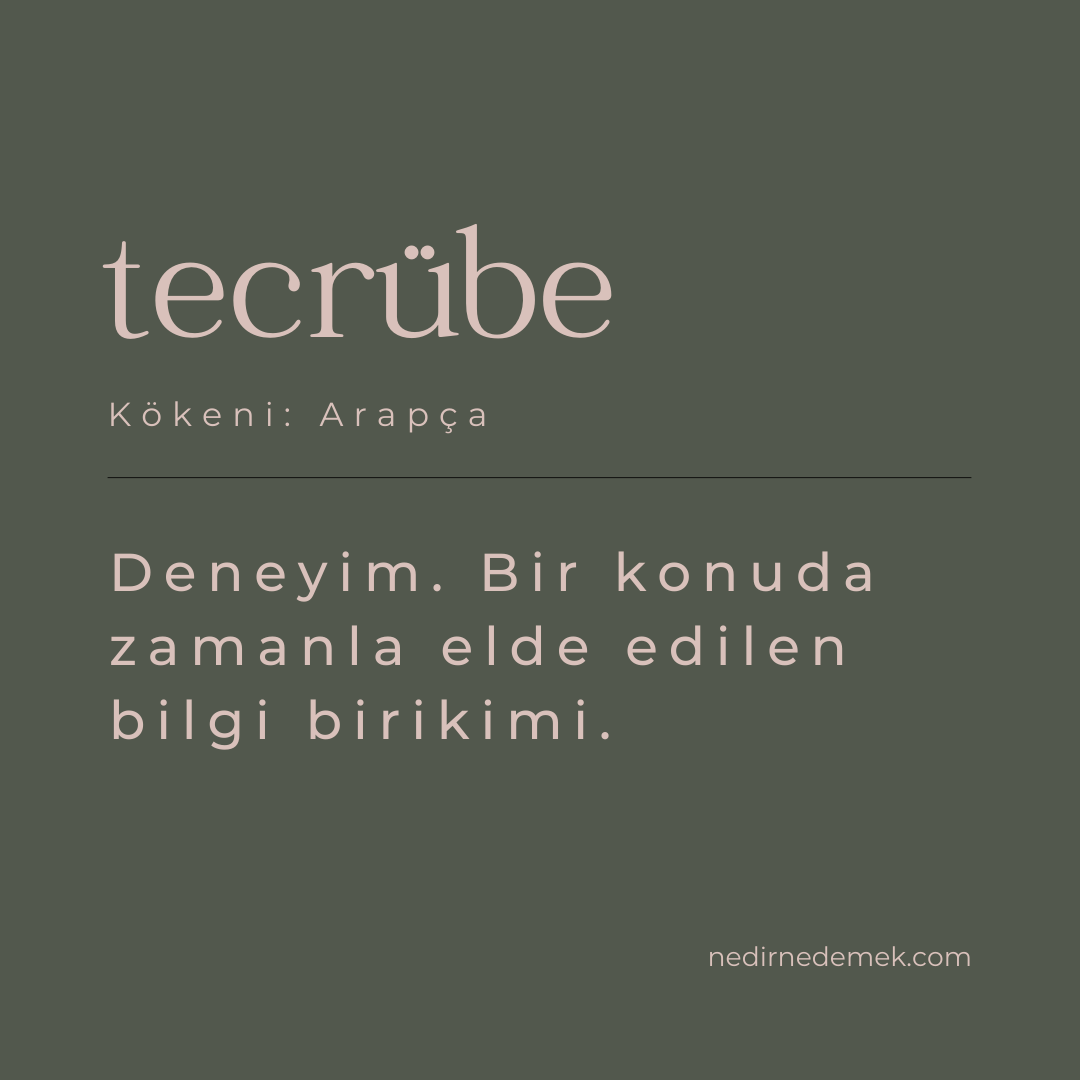 Nedirnedemekcom's tweet photo. Tecrübe ne demek?

https://t.co/EqNo5V7oHi https://t.co/u2w4fC6Gbw