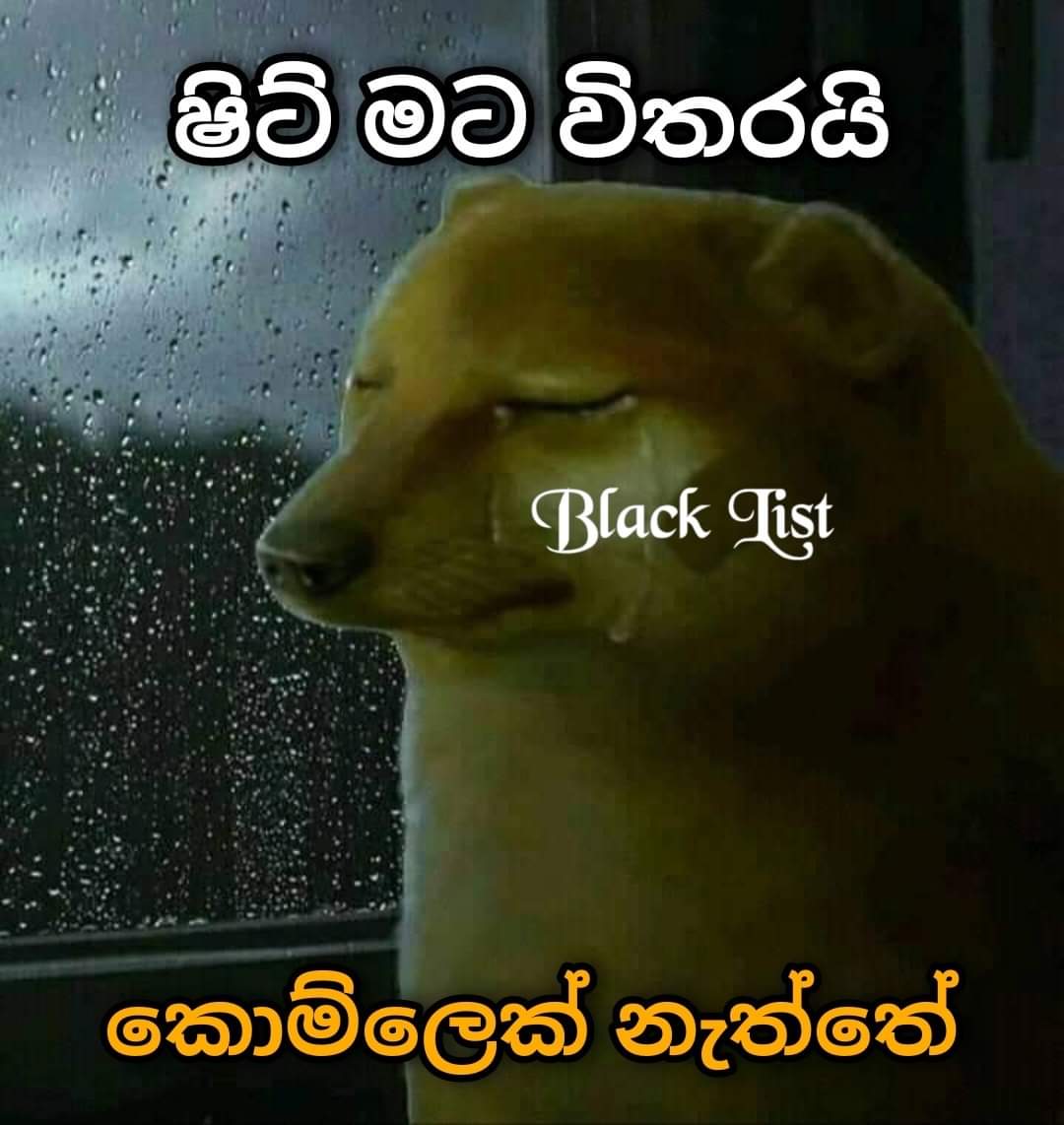 Dushara Dinukshi tweet media