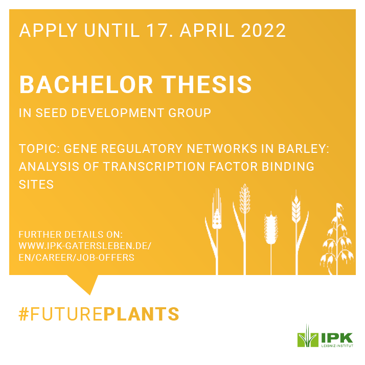 LeibnizIPK's tweet photo. You seek an opportunity for obtain your bachelor’s degree in biology, biochemistry, biotechnology outside of the university? And you feel confident performing molecular biology techniques? Then we at @LeibnizIPK have a great offer! 

➡️All details: https://t.co/FoHSDQDoxO https://t.co/fxL7QRQEIj