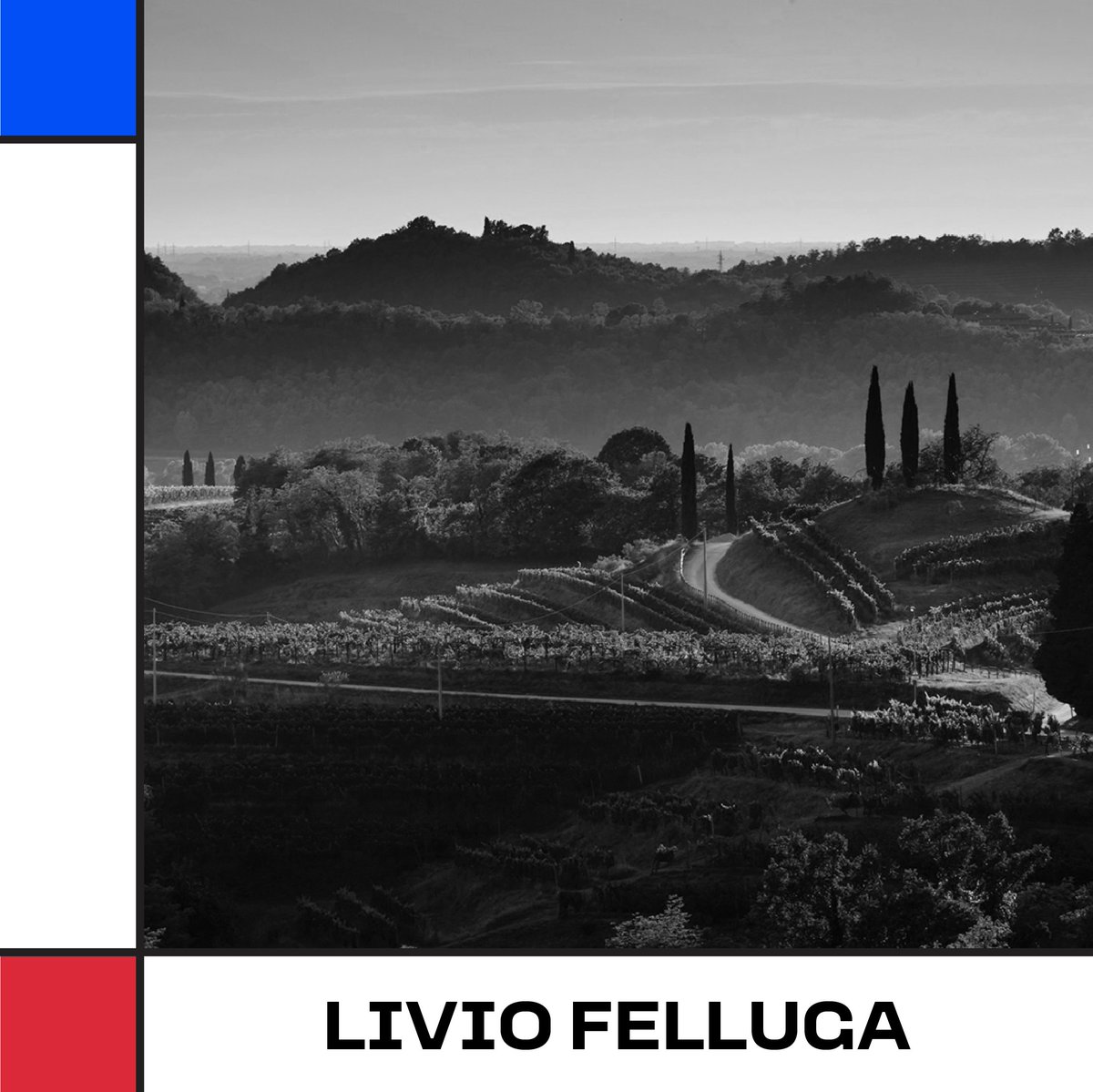 <a href="/LivioFellugaCo/">Livio Felluga</a> has been selected by Wine Spectator as one of the best Italian wineries for #OperaWine2022. 
#BestWinery #ItalianWinery #ItalianWine #VinoItaliano #CantinaItaliana #ItalianWineLover #ItalianWineMakers #winespectator #VinoBuono #WineLover #WinePeople #WineGeek