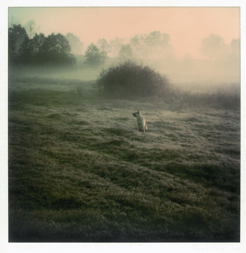 FedeItaliano76's tweet photo. Between metaphor and radiance: polaroids by Andrei Tarkovsky—a few more here https://t.co/RXGnrxKJTq https://t.co/NZqoRltiZh