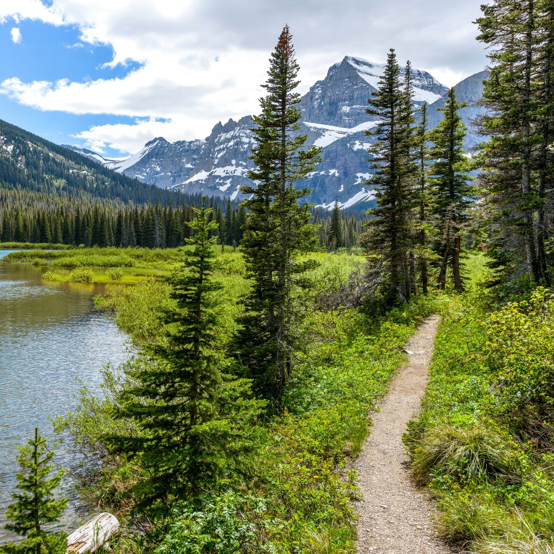 mhs2go's tweet photo. Where is your favorite hiking trail? 👟🛣👇
Enjoy exploring more trails this spring. Visit us today & explore new destinations. ▶️ https://t.co/afkIKtaZI8
#motorhomes2go #homeiswhereyouparkit #mountain #travelgram #sunset #camplife #trip #camperlife #traveling #MiStateParks100 https://t.co/d7TQXNw0uV
