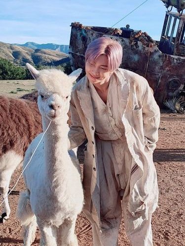 BTS_land07's tweet photo. Namjoon being the biggest animal lover — a thread https://t.co/EbsN9NU4yP