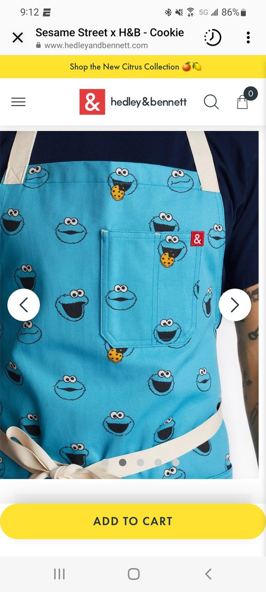 Theo Beidler tweet media