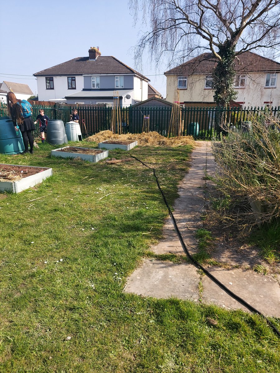 Students <a href="/WyedeanSchool/">Wyedean School & Sixth form centre</a> sorting out the vegetable garden preparing to grow vegetables and wildflowers. #gardening #gardeningclub #schoolclubs #pedagoofriday