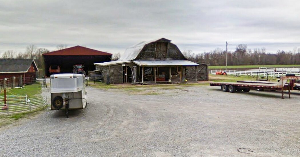 PierreLabMN's tweet image. Rampaging Camel Kills #TwoMen at a Tennessee #Farm - The camel was #PutDown after it charged at #LawEnforcementOfficers who were trying to move one of the victims, the authorities said. 👮‍♀️ 🚬 🚔 ads.mysmall.store/XeYe 🐬