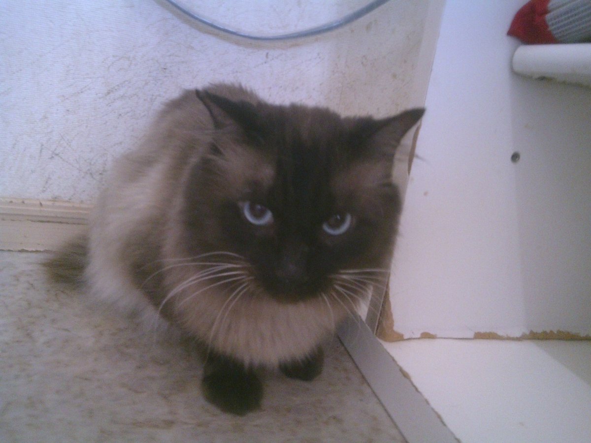 仲田加南のtwitterリアルタイム検索結果 Meyou ミーユー