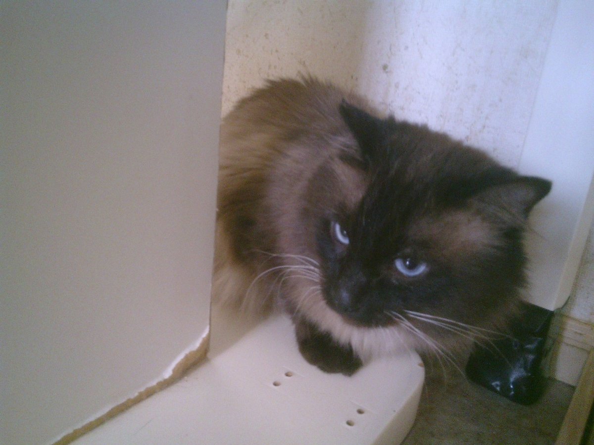 仲田加南のtwitterリアルタイム検索結果 Meyou ミーユー