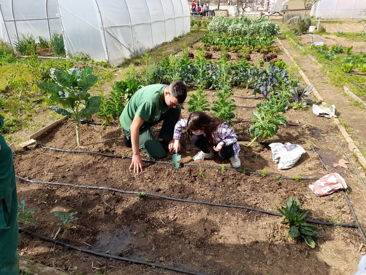 Alex_Pereznav's tweet photo. Dies d'aquests que als de l'IFE de @INS_Pla_Marcell ens agrada compartir amb les escoles del poble. Avui @escolaCanManent ens ha visitat i els alumnes IFE han mostrat projectes i activitats que fem. Ha estat molt emocionant. Gràcies a tots i totes! https://t.co/9a32CTRENH