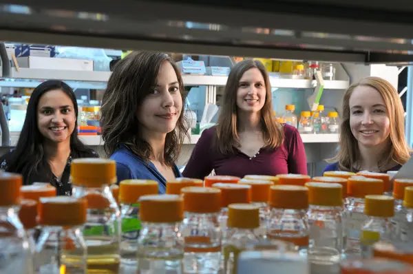 SGalanie's tweet photo. My PhD advisor Christina Smolke was an inspirational role model of a leading, ambitious woman in science, and we had a lab full of awesome mentors and colleagues, both women and allies https://t.co/HIxgYn05Vs
