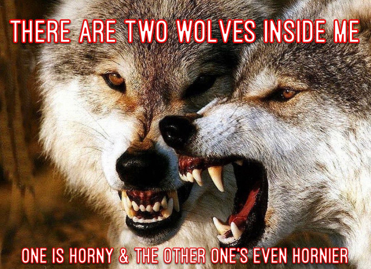 WeenLebowski's tweet image. #TwoWolves 🐺🥵