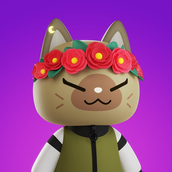 apecrypto4's tweet photo. @MeeCatsClub @xbrucethegoose @NFTONETHWeb3 @BestOfNFTs https://t.co/R3KpYj9n2a