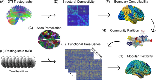Network Neuroscience (2022) 6 (1): 275–297.

Network controllability mediates the relationship between rigid structure and flexible dynamics

direct.mit.edu/netn/article/6…

<a href="/pfotiad/">Panos Fotiadis</a> <a href="/LindenParkes/">Linden Parkes</a> <a href="/sattertt/">Ted Satterthwaite</a> <a href="/DaniSBassett/">Dani S. Bassett</a>
