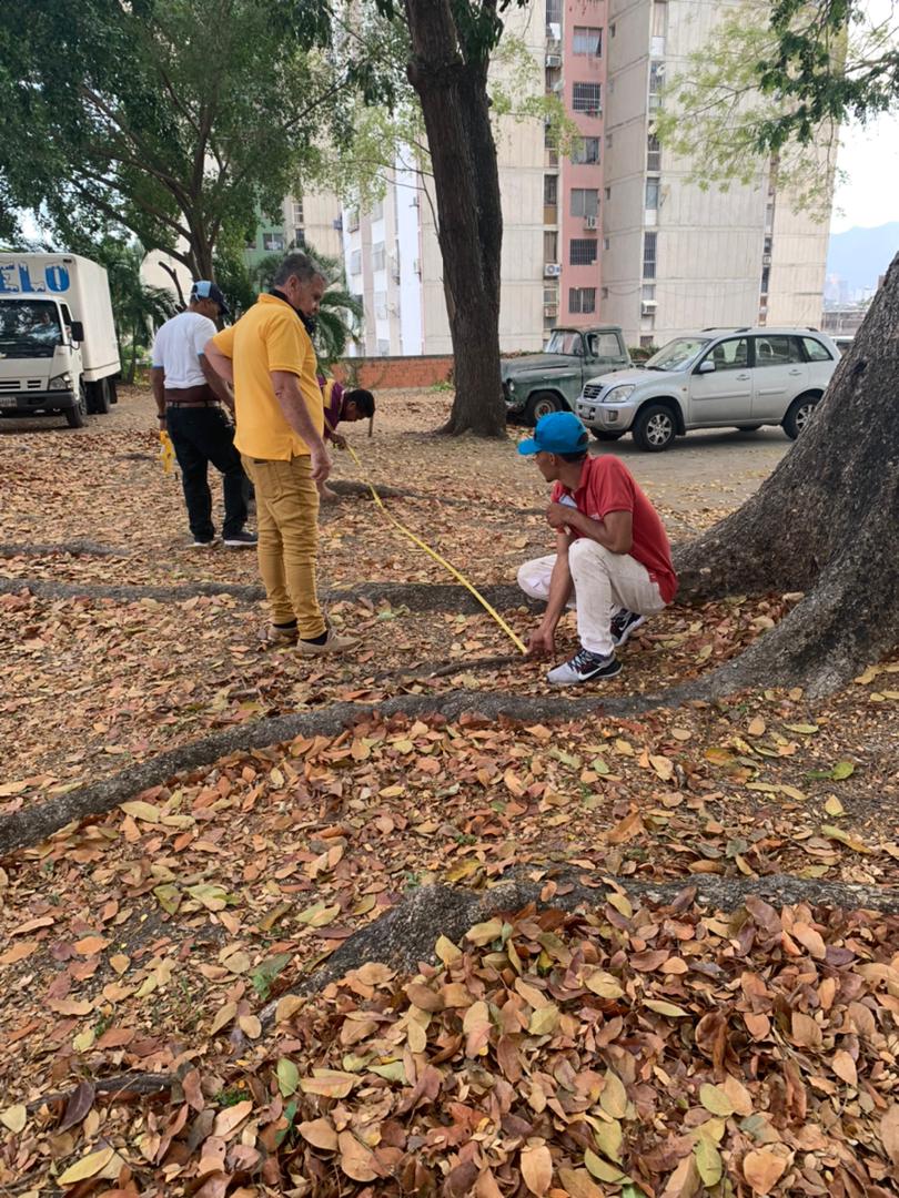 rubenlimas's tweet photo. Vecinos de la Av. Cuatricentenaria Urb los Nisperos, denuncian de una posibe, tala indiscriminada de arboles de Caoba y Samanes en un terreno en disputa, al lado del Super mercado Varrop's alertamos a @rafaellacava10
@MinpublicoVEN 
de este supuesto hecho q denuncian los vecinos https://t.co/7P1hXBvdVW