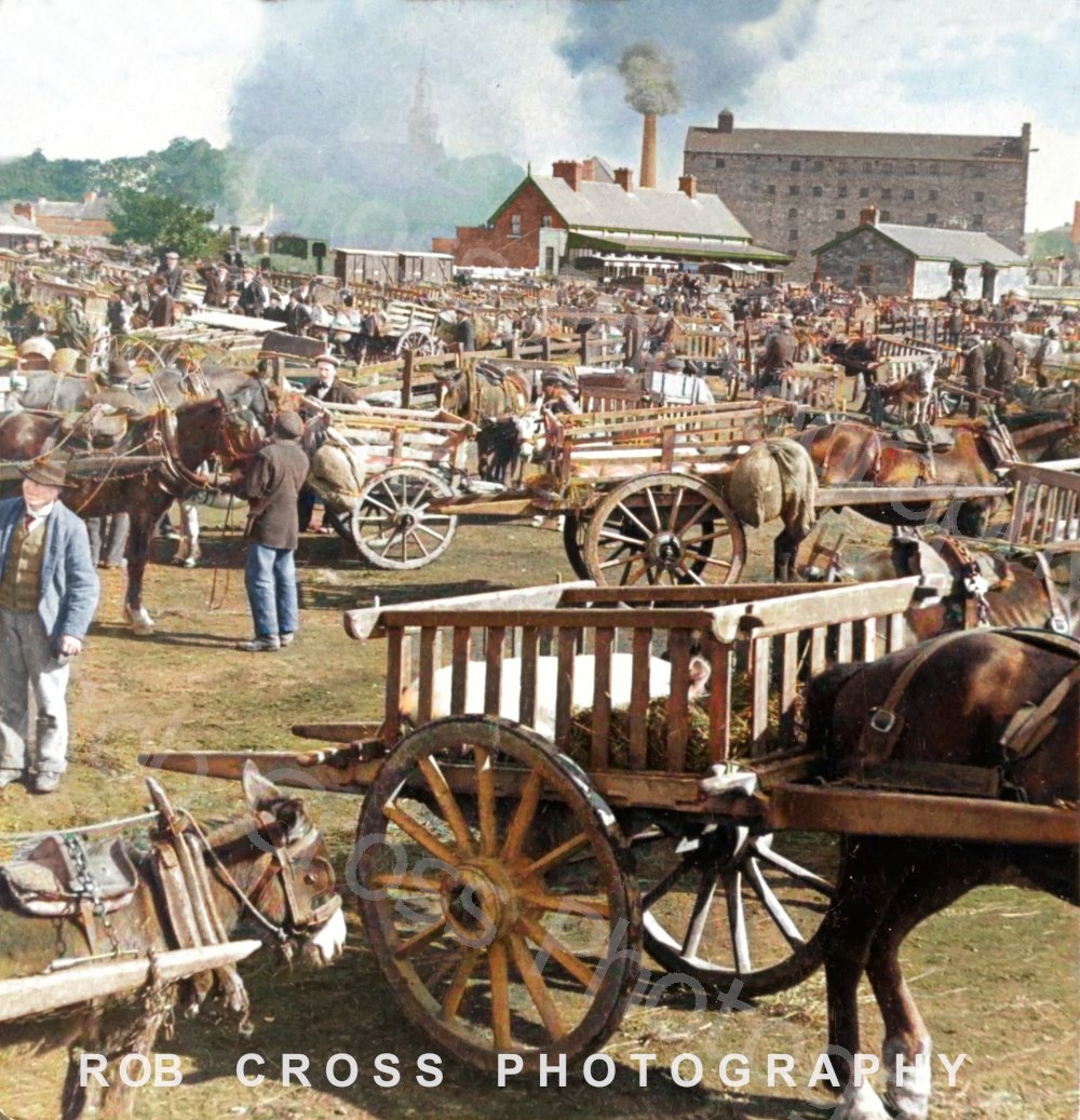 RobCross247's tweet photo. Bringing #Ireland's #History to Life. 🇮🇪🐖🐖🚂
My colourised c1901 photo of the pig fair on Marchants Quay in Kilrush, Co. #Clare featuring the Kilrush Wool Factory and the train terminus of the West Clare Railway which ran from Ennis to Kilkee and Kilrush.
📚#TheColourOfIreland https://t.co/PB4MEgWfLM