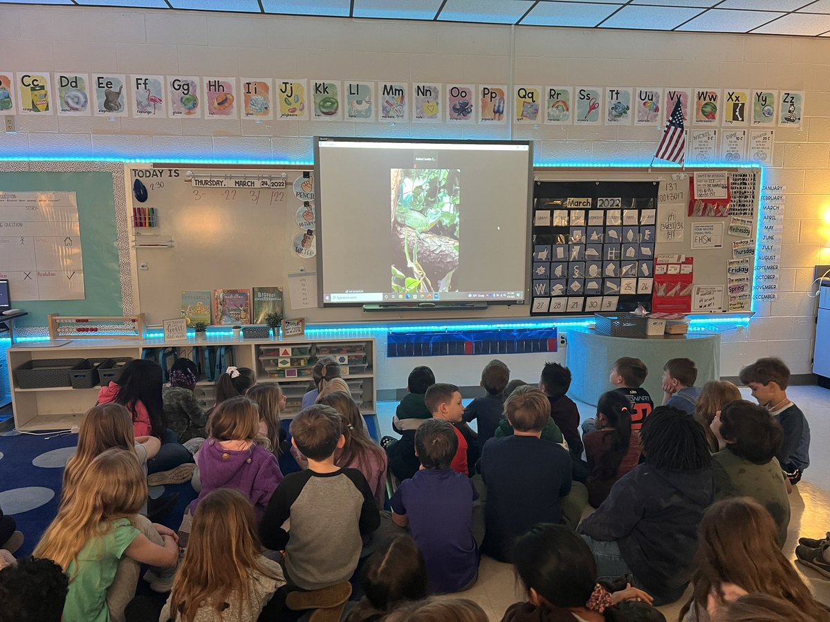 Thank you <a href="/NiabiZoo/">Niabi Zoo</a> for our Virtual Visit! The Animal Lovers Club had so much fun learning about different reptiles! #sumnerachieves @co_sumner