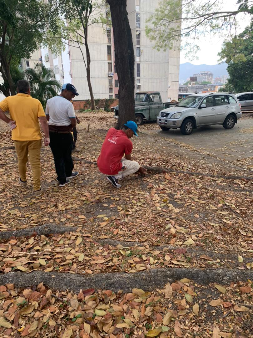 rubenlimas's tweet photo. Vecinos de la Av. Cuatricentenaria Urb los Nisperos, denuncian de una posibe, tala indiscriminada de arboles de Caoba y Samanes en un terreno en disputa, al lado del Super mercado Varrop's alertamos a @rafaellacava10
@MinpublicoVEN 
de este supuesto hecho q denuncian los vecinos https://t.co/7P1hXBvdVW