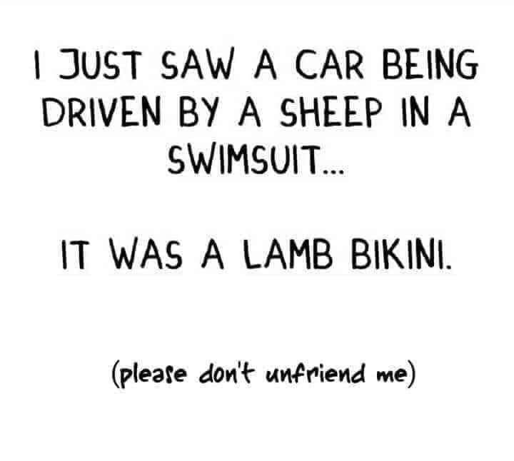 🤦‍♀️🤣