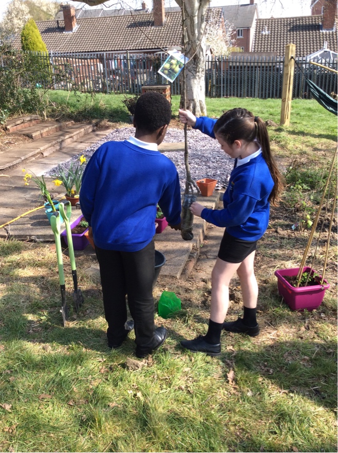 Cotmanhay Juniors tweet media