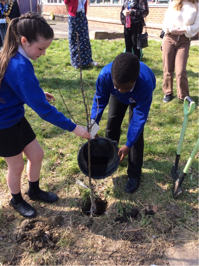 Cotmanhay Juniors tweet media