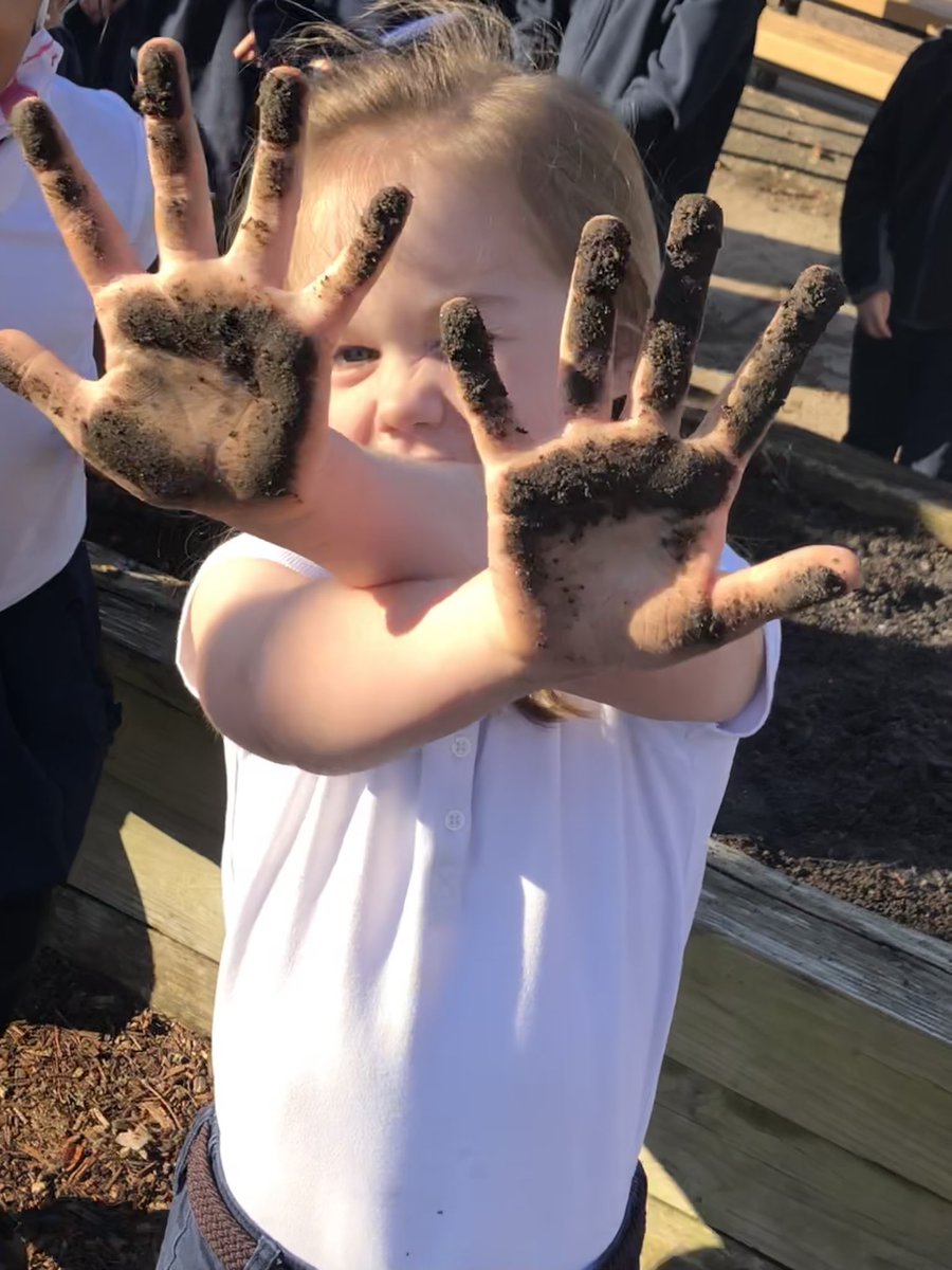 Lyles-Crouch (@lylescrouch) on Twitter photo K students are planting lettuce in our little garden today! <a href="/ACPSk12/">Alexandria City Public Schools</a> <a href="/ACPSGardens/">ACPS Childrens Garden</a> K students are planting lettuce in our little garden today! <a href="/ACPSk12/">Alexandria City Public Schools</a> <a href="/ACPSGardens/">ACPS Childrens Garden</a>