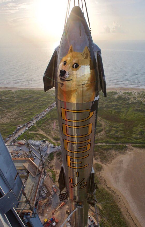 $doge time 🚀