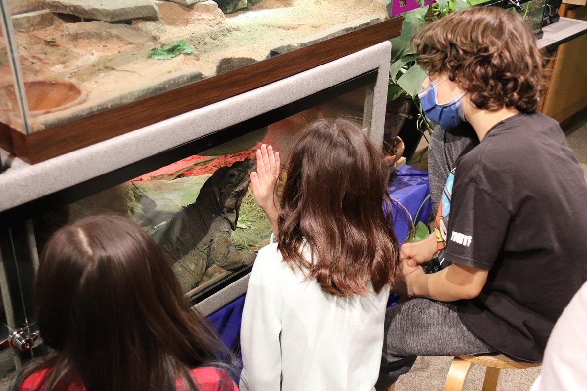 Second graders at @Sciencenter enjoy getting up close with the animals as part of their museum exploration, but only after time in the classroom discussing where energy comes from. @IthacaPEI @IthacaNYSchools @DiscoveryTrail #kdtithaca2022