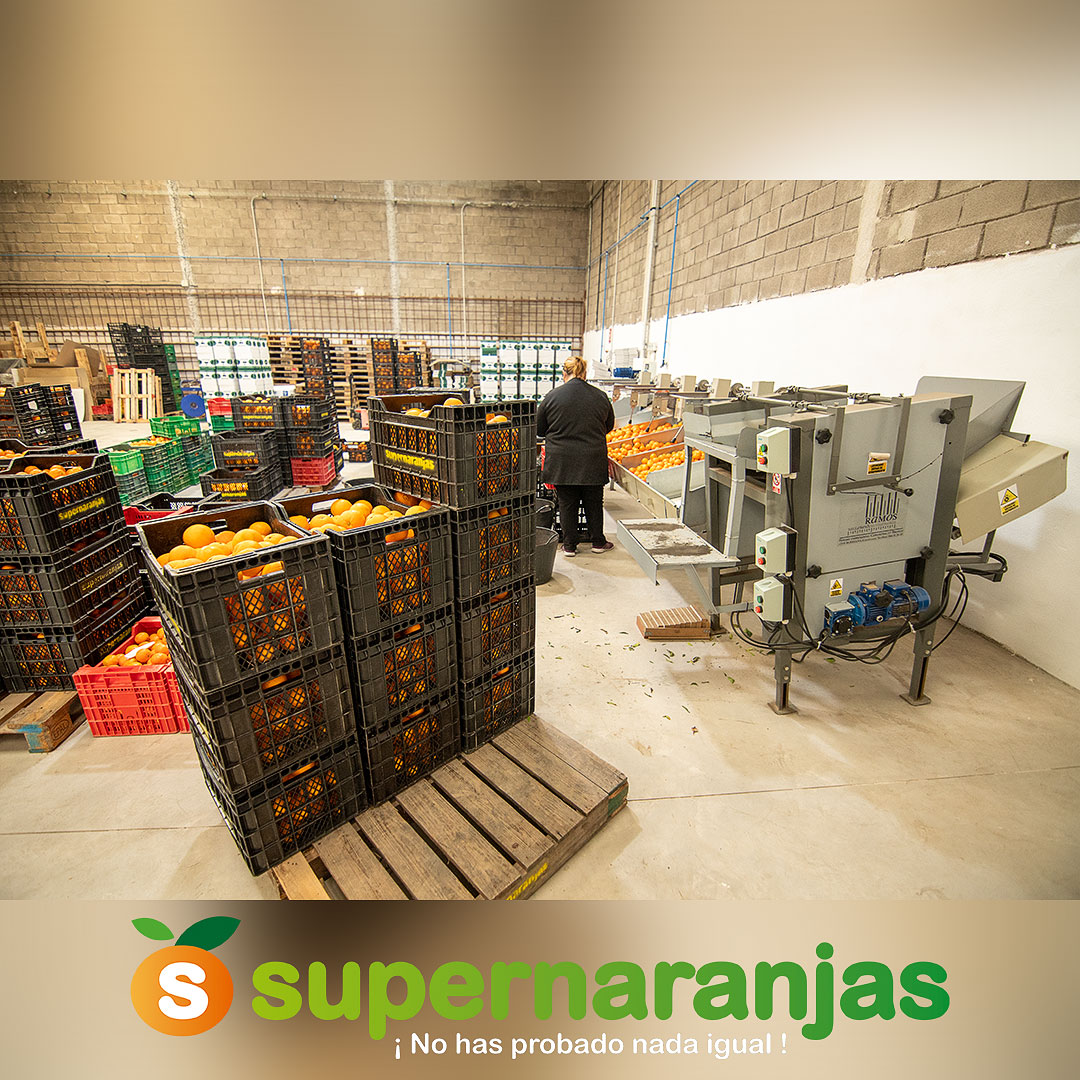 supernaranjas's tweet photo. ¡¡¡🅰🆅🅸🆂🅾 
🅸🅼🅿🅾🆁🆃🅰🅽🆃🅴!!!
🅰 🅿🅰🆁🆃🅸🆁 🅳🅴🅻 🅻🆄🅽🅴🆂 
🆅🅾🅻🆅🅴🅼🅾🆂 🅰 🅻🅰 🅽🅾🆁🅼🅰🅻🅸🅳🅰🅳.

Hagan sus pedidos yá!!!!!

https://t.co/eQNuyuPKYL
📱662 53 29 81
info@supernaranjas.com https://t.co/BIb0pSzNjv