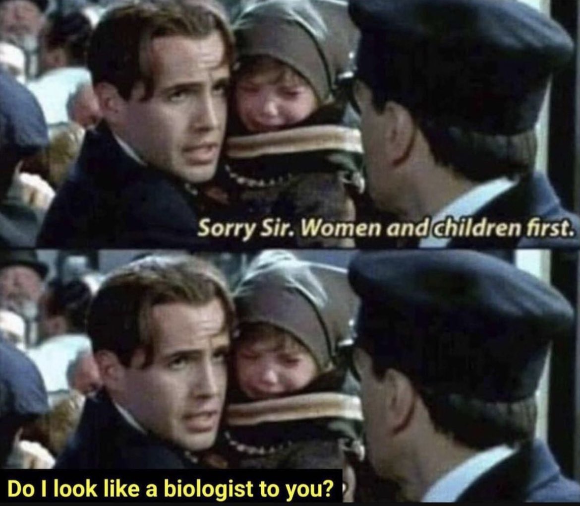 PresidentHODL's tweet image. Morning humor 

#currentstate