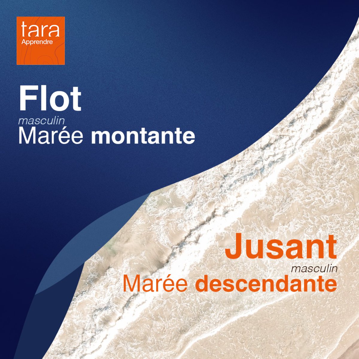 TaraOcean_'s tweet photo. Connaissez-vous les #marées ?  🌊
Découvrez le lexique de l’#Océan que nos équipes à terre comme en mer, ont l’habitude d’utiliser.👇
#FondationTaraOcéan #ExplorerEtPartager #Tarapprendre https://t.co/TYd0M2awRJ