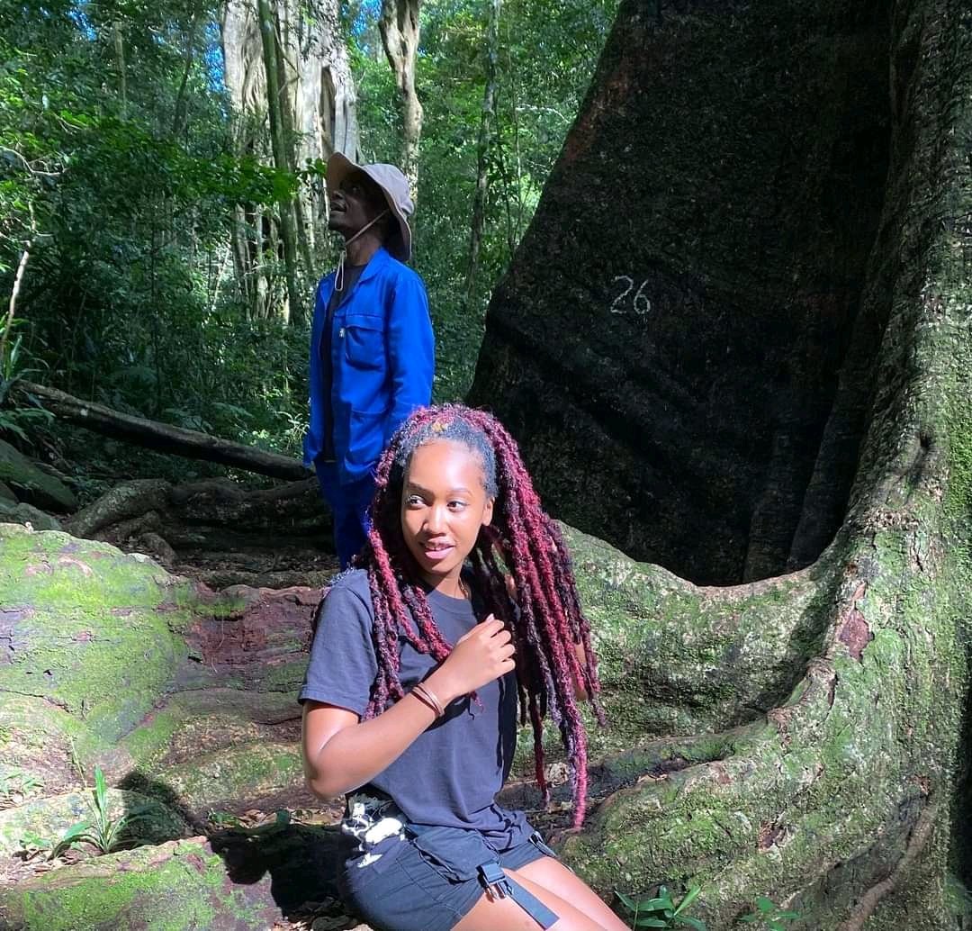 🌳 The Big Tree 🌳

#nature #outdoorphotography #blogger #zimbabwe #bucketlistadventures